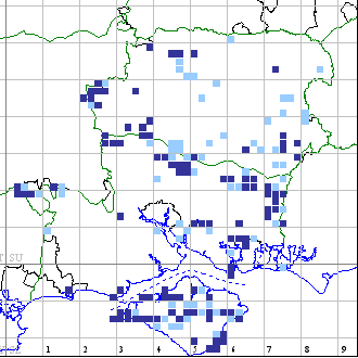 Chalkhill Blue distribution