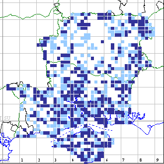 Small Copper distribution