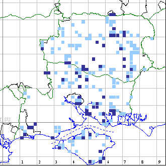 White-letter Hairstreak distribution